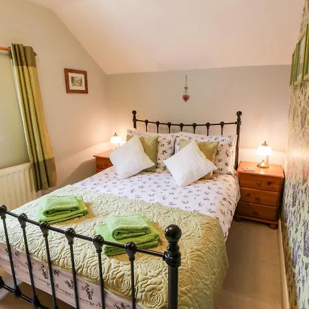 Wren Bedale